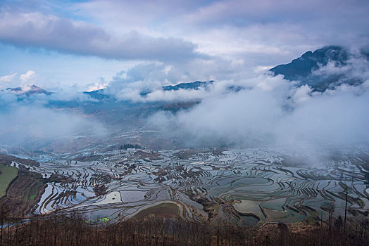 元阳梯田