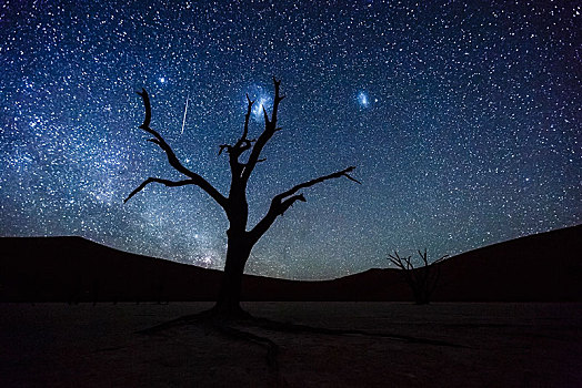 枯木,正面,星空,银河,死亡谷,索苏维来地区,纳米比亚,非洲