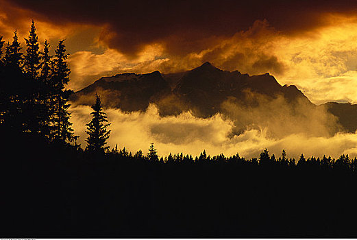 山峦,树,日落,班芙国家公园,艾伯塔省,加拿大