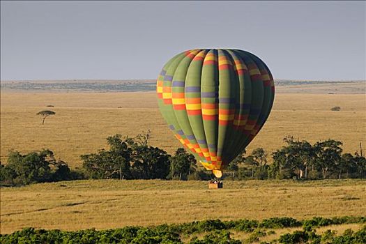 热气球,高处,草原,第一,晨光,肯尼亚,东非