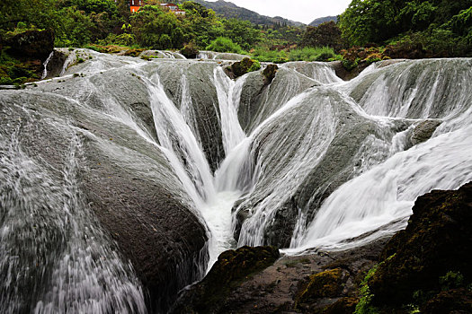 黄果树