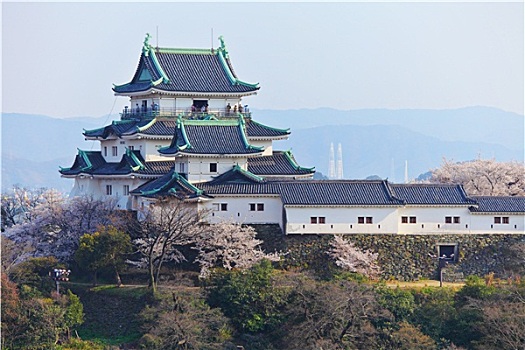 和歌山,城堡,日本