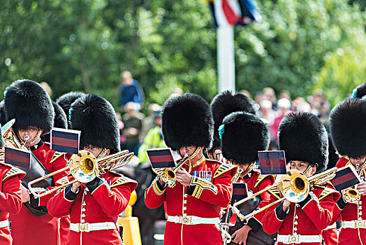 铜管乐队,守卫,皇家卫兵,熊皮,帽,换岗,传统,变化,白金汉宫,伦敦,英格兰,英国