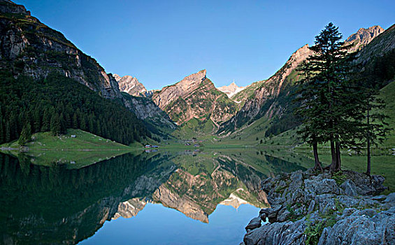 早晨,湖,山,山脉,瑞士,欧洲