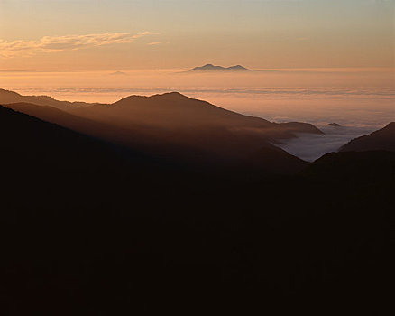 岛屿,海洋,雾