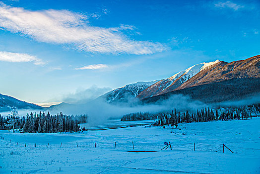 新疆,白哈巴村,雾,雪景