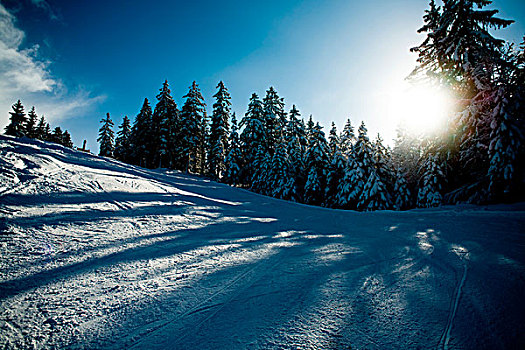 冬季风景,贝希特斯加登地区,地区,阿尔卑斯山,巴伐利亚,德国,欧洲