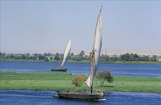 三桅帆船,尼罗河,靠近,阿斯旺,埃及