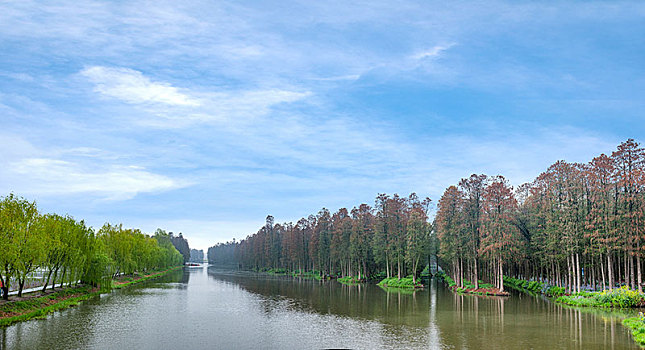 江苏省泰州市兴化市李中水上森林公园