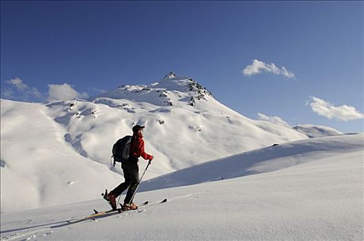 滑雪,远足者,旅游,向上,提洛尔,奥地利,欧洲