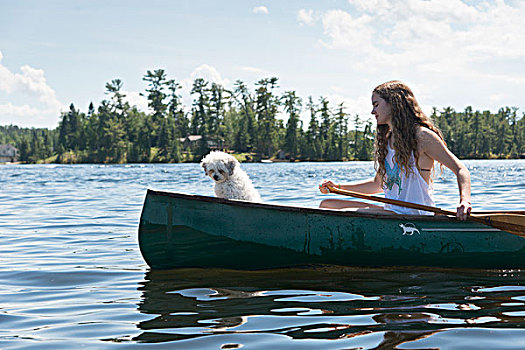 女孩,划船,独木舟,小狗,湖,木头,安大略省,加拿大