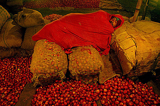 劳工,堆积,洋葱,白天,工作,库尔纳市,孟加拉,十二月,2007年