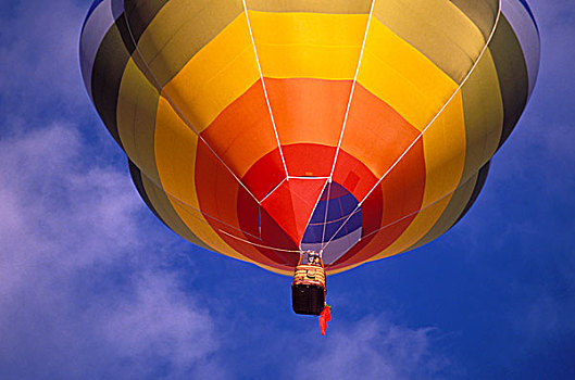 热气球,上升,晨光,阿布奎基,新墨西哥