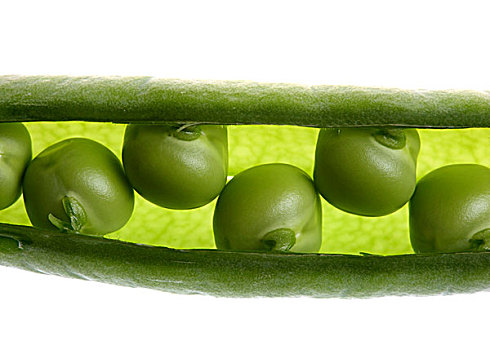 新鲜豌豆图片_新鲜豌豆图片大全_新鲜豌豆图片素材_全景视觉