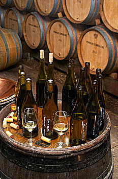 拱顶,桶藏发酵,地窖,成熟,葡萄酒,瓶子,味道,样品,勃艮第,法国