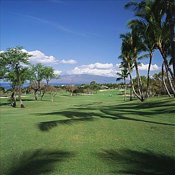 夏威夷,毛伊岛,胜地,高尔夫球杆,蓝色,场地,洞