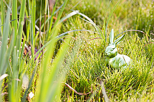 复活节兔子,隐藏,高草