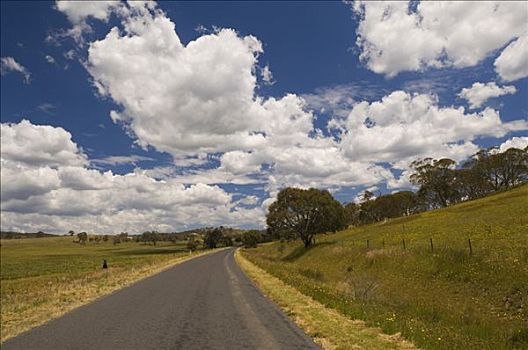 道路,新南威尔士,澳大利亚
