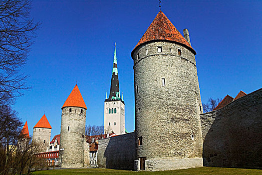 教堂,城墙,塔,塔林,爱沙尼亚