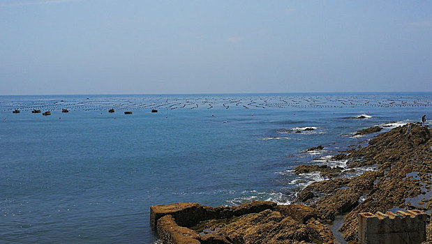 海景,网箱2