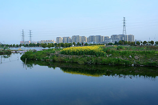 水,绿化,草地,房子