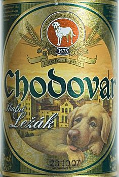 捷克,啤酒,西波希米亚,捷克共和国