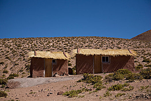 佩特罗,阿塔卡马沙漠