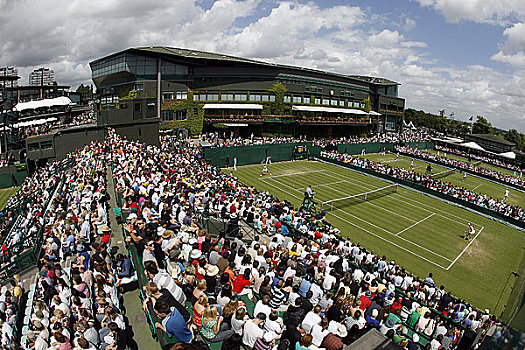 英格兰,伦敦,温布尔登,球场,中心,背景,网球,冠军,2008年