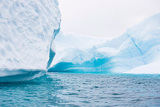 冰山,南大洋,南极半岛,南极