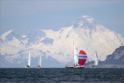 帆船,2005年,天涯,赛舟会,湾,火山,库克海峡,山脉,夏天