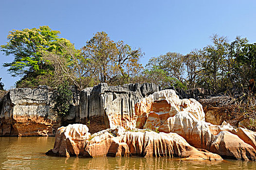 石灰石,排列,河,国家公园,马达加斯加,非洲