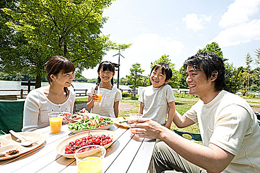 家庭,吃,野餐