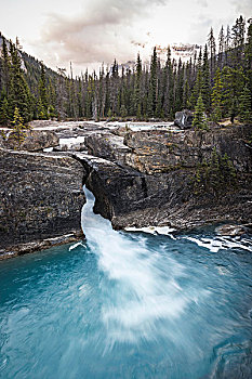 天然石桥,瀑布,踢,马,河,幽鹤国家公园,地点,不列颠哥伦比亚省,加拿大