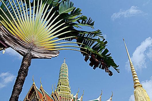 泰国,曼谷,大皇宫,棕榈树,正面,玉佛寺,皇家,寺院,翡翠佛,一个,场所