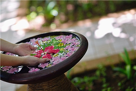 女性,手,花,水中