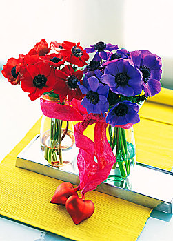 特写,红色,紫色,银莲花,花瓶,情人节