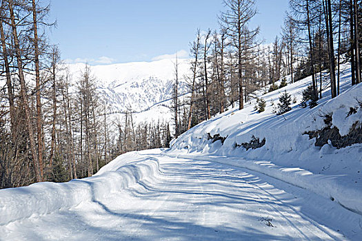 道路雪景