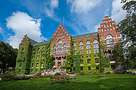 大学图书馆,瑞典,欧洲