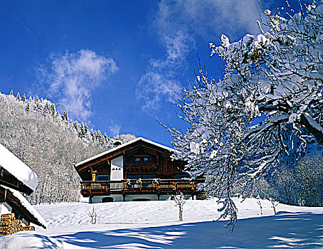 法国,勃朗峰,木房子,雪