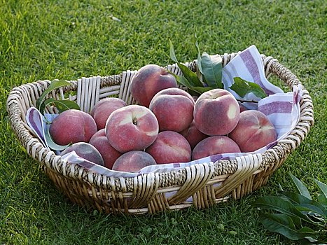 桃,品种,篮子,草地