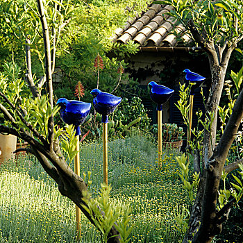 装饰,蓝色,花园,地点