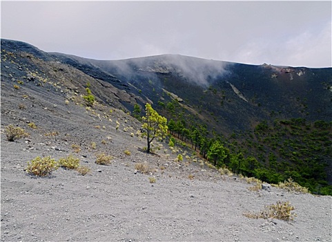 火山,圣安东尼奥,帕尔玛