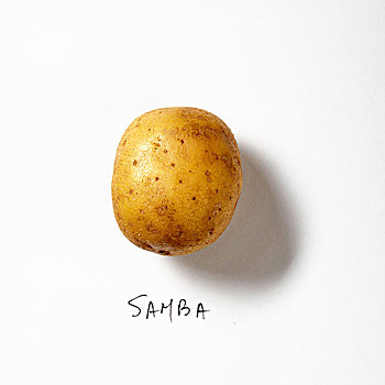 桑巴舞,土豆