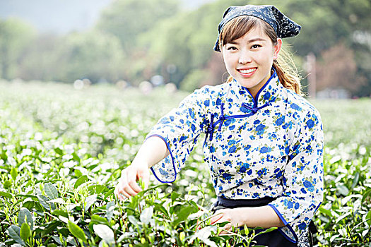 亚洲人,漂亮,女孩,种植园