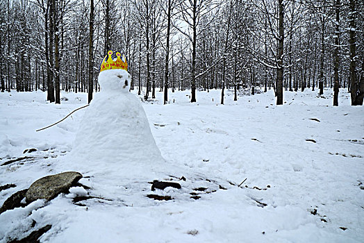 堆雪人,生日快乐,祝福