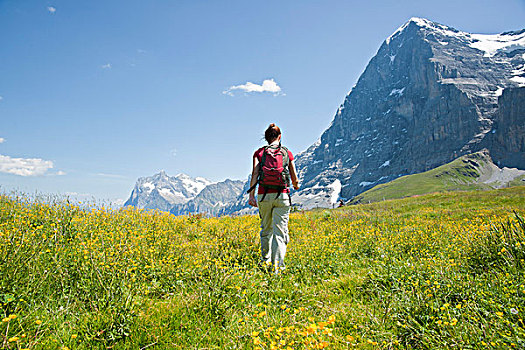 后视图,女人,远足,艾格尔峰,顶峰,北方,脸,瑞士