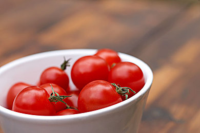 番茄树图片