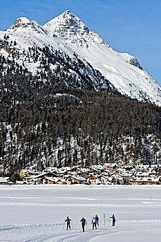越野滑雪,区域,背影,顶峰,恩加丁,瑞士,欧洲