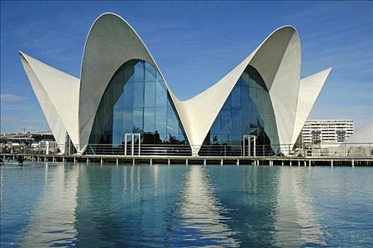 水族箱,艺术和科学之城,瓦伦西亚,西班牙