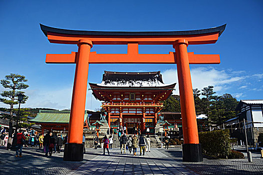 京都,伏见稻和,神社,日本,关西